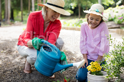 Grandmother and granddaughter gardening