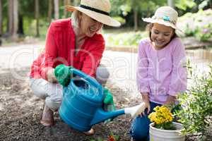 Grandmother and granddaughter gardening