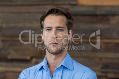 Portrait of male business executive