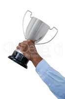 Hand of businessman holding trophy