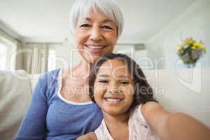 Portrait of smiling granddaughter and grandmother sitting on sofa in living room