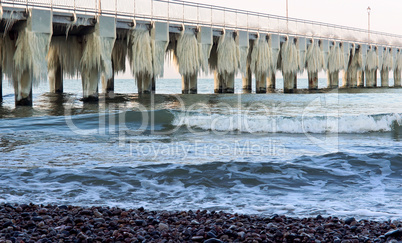 ice, winter, frost, ice, floe, cold, icicles, fence, fence, railing