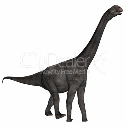 Brontomerus dinosaur - 3D render