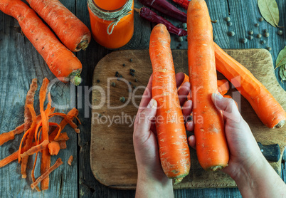 large ripe carrots lie in female hands