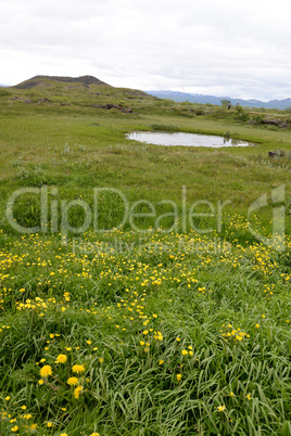 Landschaft am Myvatn, Island