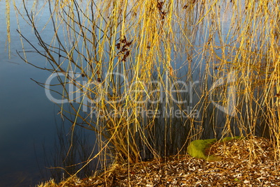 Ufer des Aasees in Münster