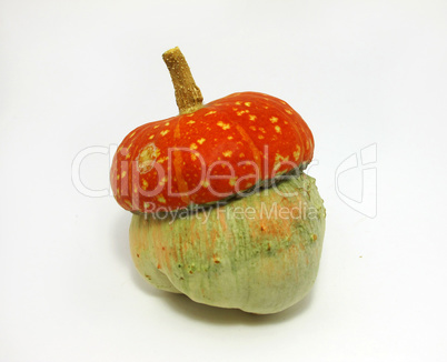 Mini pumpkin