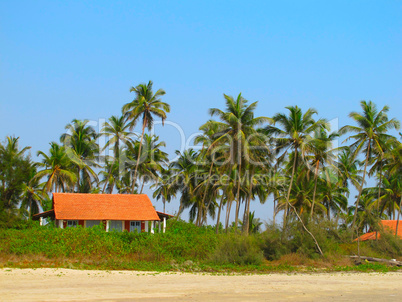 house under palm trees