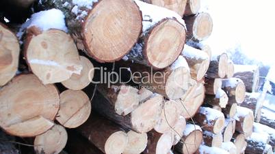 Snowy log stack lumber in winter. Woodpile of pine