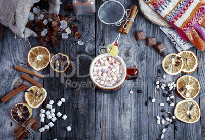 cup of cocoa with marshmallows