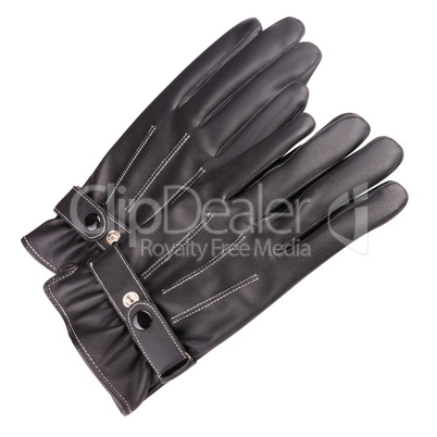 two Leather Gloves Isolated