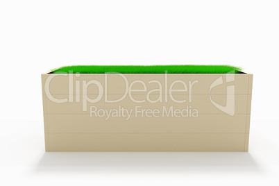 Box with freshly growing grass, 3d illustration