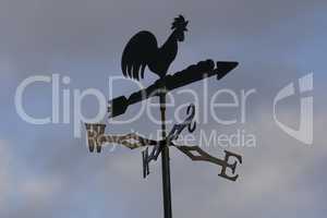 Weather vane rooster