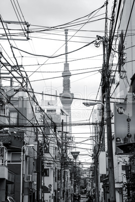 Tokyo street with electrical wires and Sky Tree
