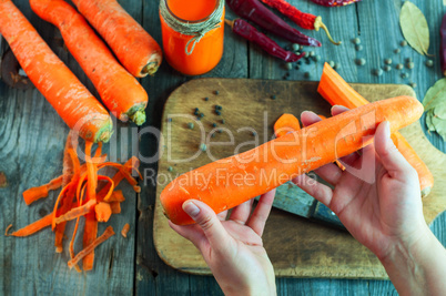 Large fresh carrots in a female hand