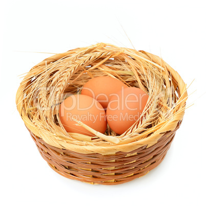 Chicken eggs in basket isolated on white background