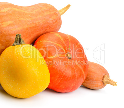 ripe pumpkins isolated on white background