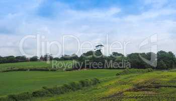 English country landscape