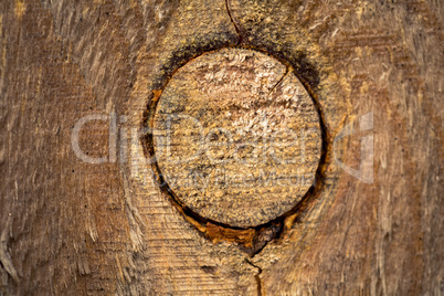 Wood texture background