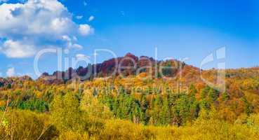 Autumn forest and blue sky