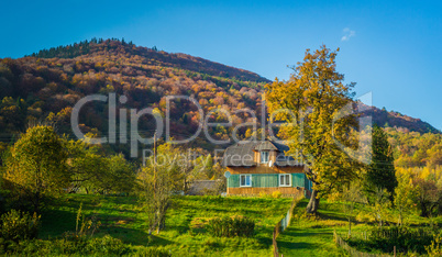 Autumn forest and blue sky and house