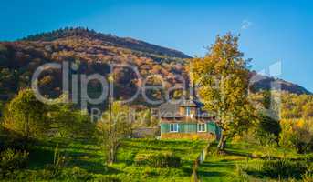 Autumn forest and blue sky and house
