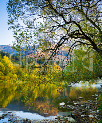 Autumn forest and sky and mountains and river