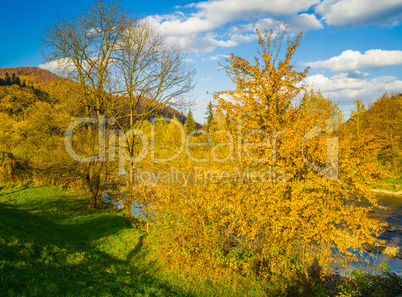 Autumn forest and sky and mountains and river