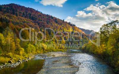 Autumn forest and sky and mountains and river