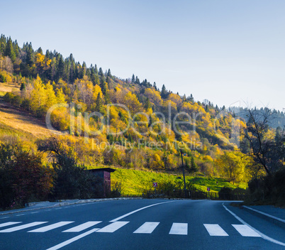 Road and autumn forest