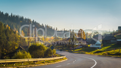 Road and autumn forest and countryside.