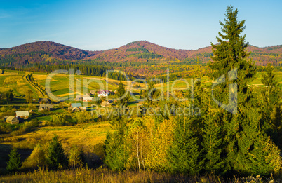 Village and autumn forest in mountains.