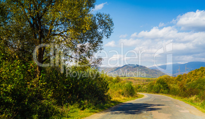 Road and autumn forest