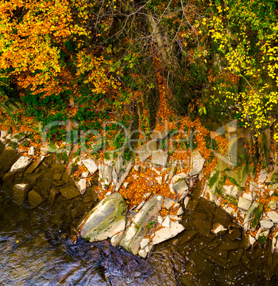 Autumn forest and river and rocks.