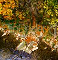 Autumn forest and river and rocks.