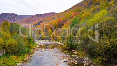 Autumn beautiful forest and river.