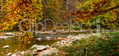 Autumn forest and river and rocks.