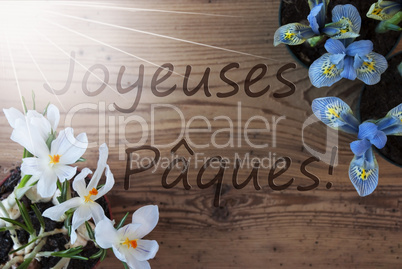Sunny Crocus And Hyacinth, Joyeuses Paques Means Happy Easter