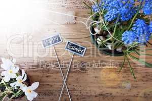 Sunny Flowers, Signs, Text Happy Easter