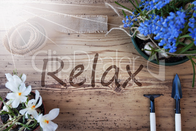 Sunny Spring Flowers, Text Relax