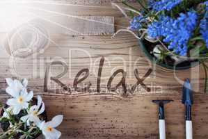 Sunny Spring Flowers, Text Relax