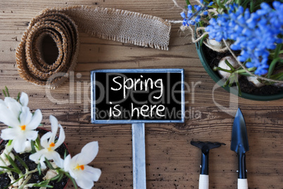 Flowers, Sign, Text Spring Is Here