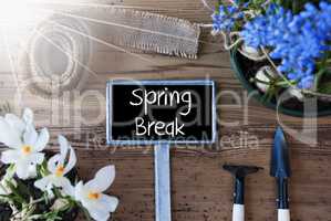 Sunny Flowers, Sign, Text Spring Break