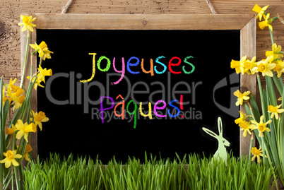 Narcissus, Bunny, Colorful Joyeuses Paques Means Happy Easter
