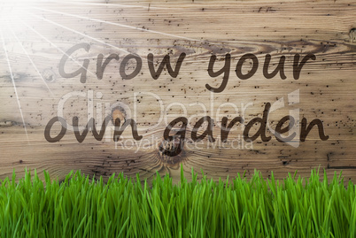 Sunny Wooden Background, Gras, Grow Your Own Garden