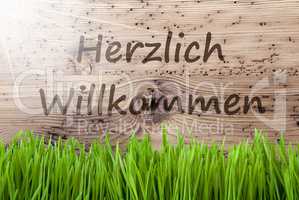 Bright Sunny Wooden Background, Gras, Herzlich Willkommen Means Welcome