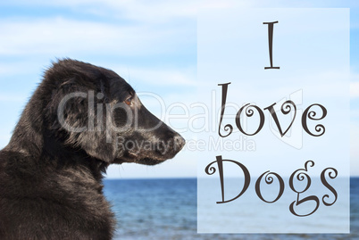 Dog At Ocean, Text I Love Dogs