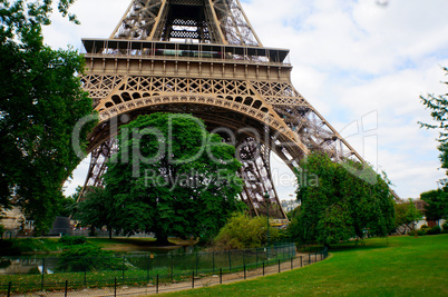 Trees under the Eifel Tower