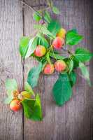 Branch with apples on a wooden board