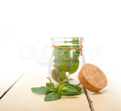 fresh mint leaves on a glass jar